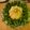 どりdori's cooksnap of when they made ポテトサラダ.