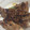ミドリ５５'s cooksnap of when they made とりもも肉のごちそう照り焼き♡.