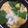 xyzクック's cooksnap of when they made 簡単‼めんつゆで親子丼‼.