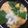 xyzクック's cooksnap of when they made とろ～り卵の親子丼.