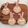 ＊Fleurir＊'s cooksnap of when they made 簡単☆かわいいクッキー☆ステラルー.