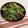 gomadachs's cooksnap of when they made 水菜の松前漬け.