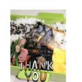 ゆけり３兄弟's cooksnap of when they made ◆フライパンで簡単♪減塩☆生鯖焼き◆.