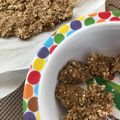 けちゃっぷらんど's cooksnap of when they made バナナとオートミールだけ！超簡単クッキー.