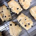 クックVAX00K☆'s cooksnap of when they made ♡簡単！オーブントースターでスコーン♡.