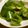 maruru-nn's cooksnap of when they made ピーマンおかか炒め.