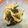 クック426IY7☆'s cooksnap of when they made 春菊ともやしのナムル.