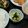 2児ママみきてぃ's cooksnap of when they made ☆きゅうりの塩昆布和え☆.