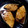 はるはるりん☆'s cooksnap of when they made 美味しい！鰤の煮付け♪.