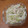 リスのしっぽ's cooksnap of when they made 日本の味？白菜の梅おかかマヨ和え.