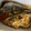 きょこ1028's cooksnap of when they made 小アジの焼きびたし.