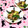 B_C_M's cooksnap of when they made 胡瓜と搾菜の簡単炒めもの.