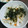 ばんぷ☆'s cooksnap of when they made 簡単☆大根と人参のめかぶあえ♪.