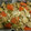 ビルメンズ's cooksnap of when they made 白菜と豆腐の卵とじ.
