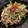 ♪きっとんとん♪'s cooksnap of when they made 超簡単！「ごぼうときのこのナムル」.