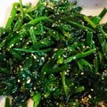 ☆スイーツだいすき☆'s cooksnap of when they made ほうれん草のごま和え 黄金比.
