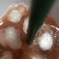 ココキキララ's cooksnap of when they made 赤ワイントマトジュース.
