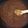 クックQULPYE☆'s cooksnap of when they made 簡単!!手作りミートソース.