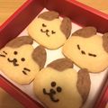 コグマ！'s cooksnap of when they made かわいい簡単！犬のアイスボックスクッキー.
