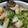 明日歩's cooksnap of when they made エビの簡単アヒージョ.