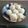 あず7225's cooksnap of when they made もち米焼売.