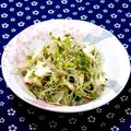 ｍａｒｉ♪'s cooksnap of when they made スーパースプラウトのやみつき小鉢.
