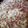 Keico_o's cooksnap of when they made チキンラーメンでお好み焼き.