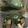 ma___111's cooksnap of when they made カニカマで♪　簡単生春巻き　ポン酢ソース.