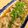いーらちか's cooksnap of when they made 味の決め手は昆布！肩ロースで作る煮豚♪.