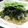 ちばたま's cooksnap of when they made さっぱりわかめサラダ.