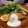 ココ❇︎ママ's cooksnap of when they made 白身魚のムニエル･マヨ粒マスタードソース.
