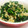 ☆★ケイト★☆'s cooksnap of when they made ☆切り干し大根とほうれん草のサラダ☆.