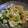 lunatomo's cooksnap of when they made 春ｷｬﾍﾞﾂと厚揚げのﾆﾝﾆｸ味噌炒め♪.