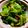Jyohana's cooksnap of when they made 簡単！うまい！チンゲン菜のおひたし！.