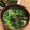 ポメちょん's cooksnap of when they made 即席☆とろろ昆布と梅のスープ♪♪.