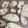 クックDUP7E8☆'s cooksnap of when they made 簡単にできる☆ラスク☆.