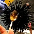 キホママ's cooksnap of when they made 殻付きウニのさばきかた.