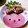 えりりんちゃん♡'s cooksnap of when they made ヒレ肉のさっぱりかいわれソース.