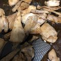 クックFC4LJH☆'s cooksnap of when they made 刺身のブツ切りでびんちょうマグロの角煮.