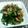まぶたん's cooksnap of when they made 春菊と牛肉の炒め.