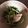 まりもひよこ's cooksnap of when they made 豆苗のポンマヨあえ.