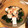 けーーぽん's cooksnap of when they made ほうれんそうとクリームチーズのわさび和え.