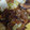 こびぃ。's cooksnap of when they made さつまいもと豚肉の炒めもの.