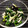 acha5260's cooksnap of when they made ほうれん草と大根のナムル.
