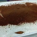poopiipuu's cooksnap of when they made 簡単あっさり生クリーム不使用のティラミス.