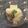 ダルマ子's cooksnap of when they made お手軽豚肉豆腐.
