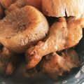 あやたか3172's cooksnap of when they made 炊飯器で手羽元と大根の煮込み.