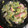 クックZ8J4H4☆'s cooksnap of when they made 白菜とカニかまぼこの、おかかがけ.