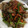 クック9P6O5D☆'s cooksnap of when they made 【龍愛】豚肉とにんにくの芽のスタミナ炒め.