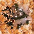 ＊にょにょん＊'s cooksnap of when they made 「たこわさ納豆丼」.